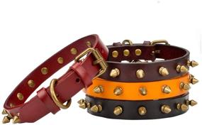 img 2 attached to 🐾 Aolove Basic Classic Adjustable Genuine Cow Leather Pet Collars: Stylish Comfort for Cats, Puppies, and Dogs