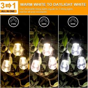 img 3 attached to Dimmable Outdoor LED String Lights for Patio with Remote, 48FT Waterproof String Light with Edison Bulbs in 3 Color Options, Warm White and Daylight White Shatterproof LED Light String for Cafe Bistro Pergola
