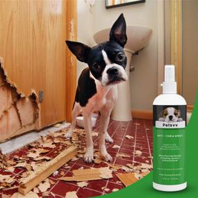 img 1 attached to No Chew Spray for Dogs - Anti-Chew Deterrent, Dog Repellent Spray for Indoor & Outdoor Use, Safeguarding Househould Items & Plants