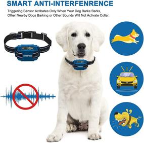 img 2 attached to 🐶 DOMFISH Dog Bark Collar: Vibration, Sound, and Static Shock, Humane Anti-Barking Collar with 6 Adjustable Sensitivity Levels for Small, Medium, Large Dogs - Blue