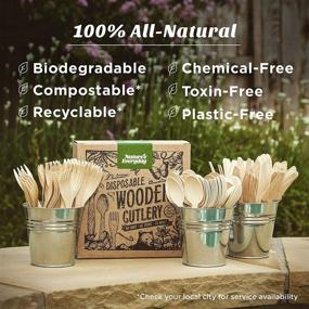 img 1 attached to 🌱 All-Natural Large Full-Size Disposable Wooden Cutlery Sets - 180 Extra Strong Deluxe Pieces (60 Forks, 60 Spoons, 60 Knives) in Plastic-Free Box - Eco-Friendly, Biodegradable, and Compostable Birch Wood