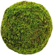 supermoss (21663) moss ball: a fresh green decorative accent in 8-inch size! logo