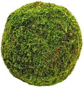 img 2 attached to SuperMoss (21663) Moss Ball: A Fresh Green Decorative Accent in 8-Inch Size!