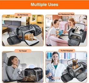 img 2 attached to 🐾 MASKEYON TSA Soft Sided Pet Carrier, одобренный авиакомпанией | Верхняя загрузка, расширяемый 4-х сторонний большой переносной переноска для кошек | Складной с 3 съемными стиральными подушками и 3 карманами | Подходит для кошек, котят и маленьких собак.