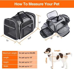 img 3 attached to 🐾 MASKEYON TSA Soft Sided Pet Carrier, одобренный авиакомпанией | Верхняя загрузка, расширяемый 4-х сторонний большой переносной переноска для кошек | Складной с 3 съемными стиральными подушками и 3 карманами | Подходит для кошек, котят и маленьких собак.