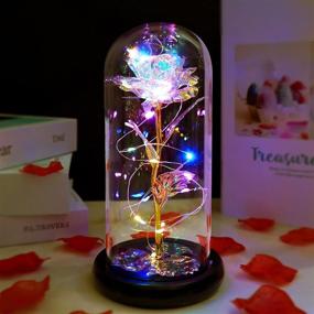 img 4 attached to 🌹 Rose Light - Perfect Christmas & Birthday Gifts for Wife, Girlfriend: Romantic Anniversary, Valentine's Day, and Presents for Her Mom