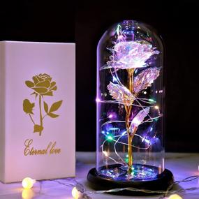 img 2 attached to 🌹 Rose Light - Perfect Christmas & Birthday Gifts for Wife, Girlfriend: Romantic Anniversary, Valentine's Day, and Presents for Her Mom