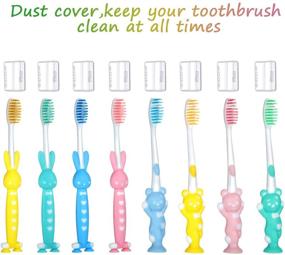 img 2 attached to 🦷 Fun and Easy Storage: 12-Piece Kids Toothbrush with Soft Bristles and Suction Cup for Boys and Girls, Ages 3 and Above