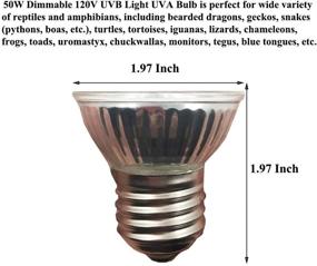 img 1 attached to Taysing Dimmable Spectrum Reptiles Lighting