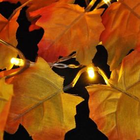 img 1 attached to Vibrant 2 Pack Thanksgiving Maple Leaves String Light: 14.7 Ft, 40 LED Warm Lights, 8 Blinking Modes – Autumn Harvest & Holiday Décor for Home