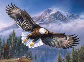 img 4 attached to 🦅 High-Quality 5D DIY Diamond Painting Kit - Eagle Soars | Home Wall Decor | 16 X 13 inch