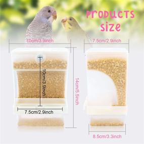 img 3 attached to 🐦 Rypet 2 PCS No-Mess Bird Feeder - Parrot Automatic Feeder for Small to Medium Birds - Integrated Seed Food Container