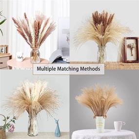 img 2 attached to Dried Pampas Grass Bundle - 80 Pcs, Natural Fluffy 🌾 Swinging DIY Boho Plant for Boho Home Decor - 3 Colors (Tricolor)