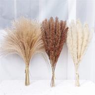 dried pampas grass bundle - 80 pcs, natural fluffy 🌾 swinging diy boho plant for boho home decor - 3 colors (tricolor) logo
