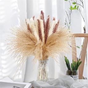 img 1 attached to Dried Pampas Grass Bundle - 80 Pcs, Natural Fluffy 🌾 Swinging DIY Boho Plant for Boho Home Decor - 3 Colors (Tricolor)