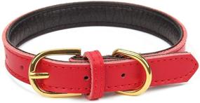 img 3 attached to 🐾 Aolove Basic Classic Padded Leather Pet Collars for Small-Medium Dogs and Cats