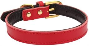 img 2 attached to 🐾 Aolove Basic Classic Padded Leather Pet Collars for Small-Medium Dogs and Cats