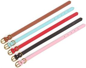 img 1 attached to 🐾 Aolove Basic Classic Padded Leather Pet Collars for Small-Medium Dogs and Cats