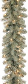 img 3 attached to 🎄 National Tree Company 9-Feet Pre-Lit Blue Christmas Garland: Downswept Douglas Fir with White Lights