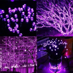 img 3 attached to WATERGLIDE 200 LED Halloween String Lights: 66FT Purple Fairy Lights for Holiday Decorations - Waterproof, 8 Lighting Modes for Outdoor/Indoor Halloween, Christmas, Wedding, Party & Bedroom