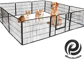 img 3 attached to QRDA 12 Panel Folding Exercise Playpen