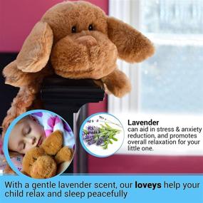 img 3 attached to 🐻 Lavender-Scented Microwavable Stuffed Animal Blankets: Plush Lovie Heating Pads, Super Soft Heatable Stuffed Animals for Babies