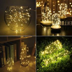 img 3 attached to 🌟 AMIR Upgraded Fairy String Lights, 12 Pack Starry Lights Battery Operated, 3.3ft 20 LED Indoor Outdoor String Lights, Copper Wire Lights for Halloween, Party, Wedding, Christmas Decoration (Warm White)