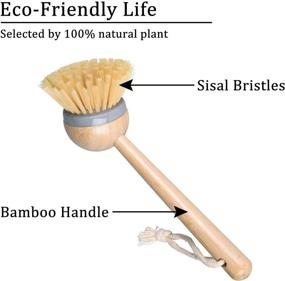 img 3 attached to 🧽 Pack of 2 Long Bamboo Handle Dish Scrub Brushes - QOMJT Bamboo Dish Scrubbers for Kitchen Cleaning, Wooden Cleaning Scrubbers Set for Pans and Household Cleaning (Brown-Long)