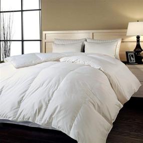 img 1 attached to 🛏️ Naples 700 Thread Count Cotton Down Alternative Comforter - Twin by Blue Ridge Home Fashions