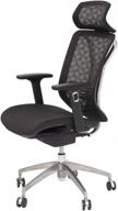 🪑 comfortable and flexible: canglong high back mesh desk chair with arm rests, height adjustable in black logo