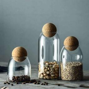 img 2 attached to 🌳 MOLADRI 500ML/16Oz Clear Glass Storage Canister Jar with Wood Cork Top - Modern Decorative Cylinder Container for Coffee, Spice, Candy, Salt, Cookie & Terrariums