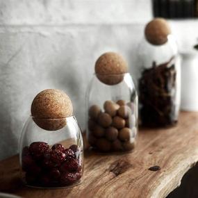 img 3 attached to 🌳 MOLADRI 500ML/16Oz Clear Glass Storage Canister Jar with Wood Cork Top - Modern Decorative Cylinder Container for Coffee, Spice, Candy, Salt, Cookie & Terrariums