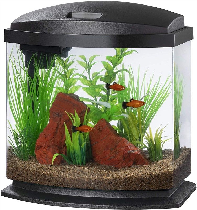 Outgeek Wall Mounted Aquarium Tank: 1-Gallon Betta Fish Bowl