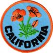 orange california poppies logo background logo