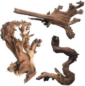 img 4 attached to 🐠 Enhance Your Fish Tank with PINVNBY Natural Aquarium Driftwood - Pack of 3 Assorted Branches: Perfect Reptile Ornament and Decoration