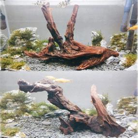 img 1 attached to 🐠 Enhance Your Fish Tank with PINVNBY Natural Aquarium Driftwood - Pack of 3 Assorted Branches: Perfect Reptile Ornament and Decoration