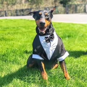 img 2 attached to 🐶 Evursua Large Dog Tuxedo Wedding Party Suit - Stylish Dog Costumes for Golden Retrievers, Samo Bulldogs, and Large Breeds - Elegant Gentleman Dog Attire with Bowtie