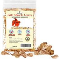 🍃 sungrow indian almond leaves 2-inches: premium water conditioner for betta & gouramis - pack of 50 leaves logo