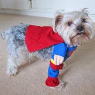 alfie pet - superman superhero costume логотип