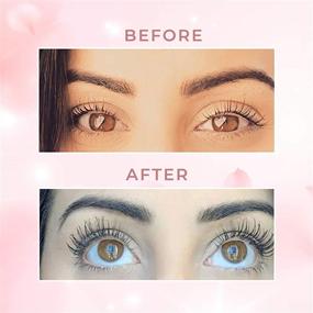 img 1 attached to NTVE Eyelash Growth Serum - Non-GMO, Gluten & Soy Free - Stronger, Longer & Thicker Lashes - Eyebrow Growth Serum for Bold Brows - Rapid Lash Enhancing Serum - 7.4ML Lasts Approx. 6 Months.