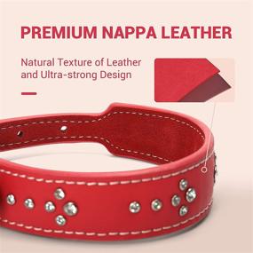 img 2 attached to 🐶 Yoken Leather Dog Collar | Widened Cross-Section and Flat Design | Collars for Large, Medium & Small Dogs | Premium Leather | 3 Sizes Available