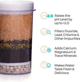 img 3 attached to 🚰 Santevia Fluoride Water Filter System