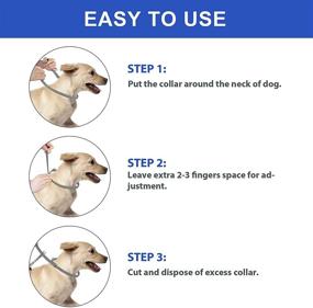 img 2 attached to 🐕 Flea and Tick Control: 2 Pack Adjustable Collar for Dogs, 8-Month Protection, Allergy-Free & Hypoallergenic