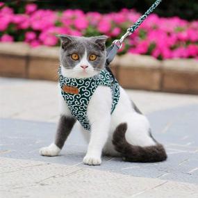 img 3 attached to Adnikia Floral Dog Cat Harness and Leash Set: Escape Proof Pet Vest with Padded Handle Leash for Kittens, Puppies, and Cats - No-Pull, Adjustable, and Stylish