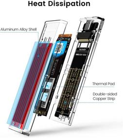 img 1 attached to 🔌 Быстрая ORICO безинструментальная внешняя оболочка USB 3.1 типа C для M.2 SATA SSD - поддерживает размеры NGFF M.2 2280 2260 2242 2230, адаптер для корпуса HDD (TCM2F, красный)