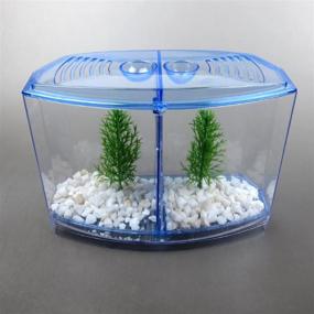 img 2 attached to 🐠 Alfie Pet - Baird Betta Tank Kit with Divider