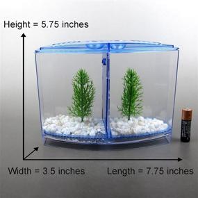 img 3 attached to 🐠 Alfie Pet - Baird Betta Tank Kit with Divider