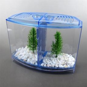 img 4 attached to 🐠 Alfie Pet - Baird Betta Tank Kit with Divider
