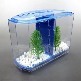 img 1 attached to 🐠 Alfie Pet - Baird Betta Tank Kit with Divider