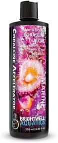 img 1 attached to Brightwell Aquatics Coralline Accelerator Multi Nutrient